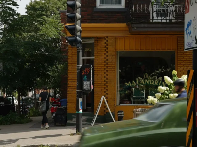 Le Malandrin : studio de tatouage