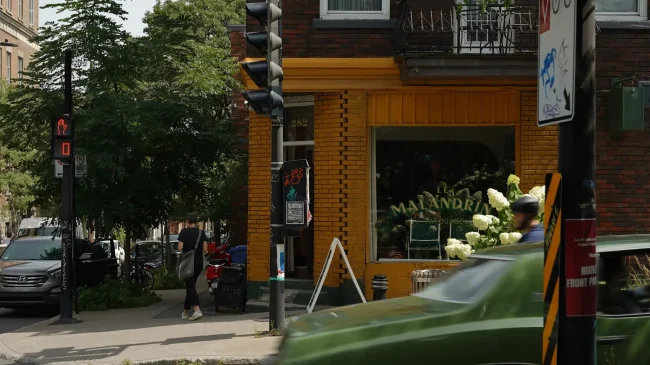 Le Malandrin : studio de tatouage