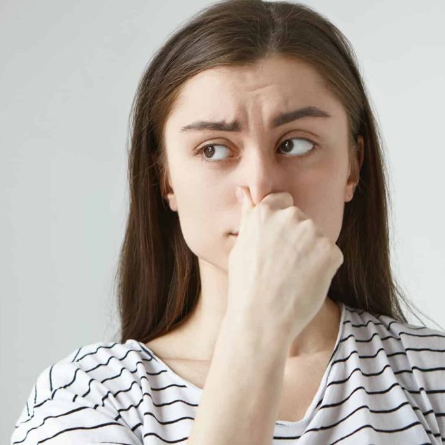 Comment se débarrasser efficacement de l’odeur de moufette dans votre maison : solutions et conseils