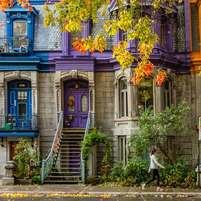 Plus qu’un simple ménage, une gestion de l’hygiène et de la performance